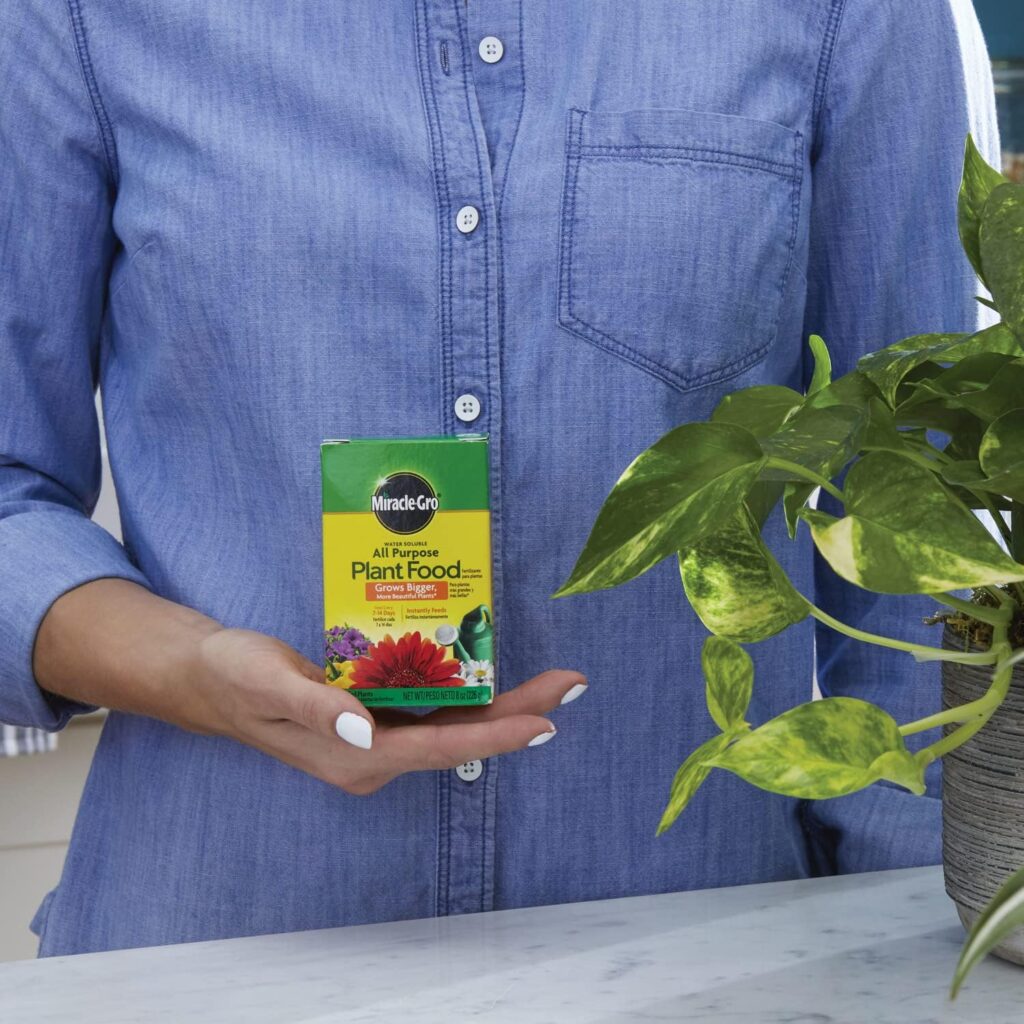 Miracle-Gro Water Soluble All Purpose Plant Food, Plant Fertilizer for Indoor or Outdoor Plants, Roses, Flowers, Houseplants, Vegetables and Trees, 6.25 lb.